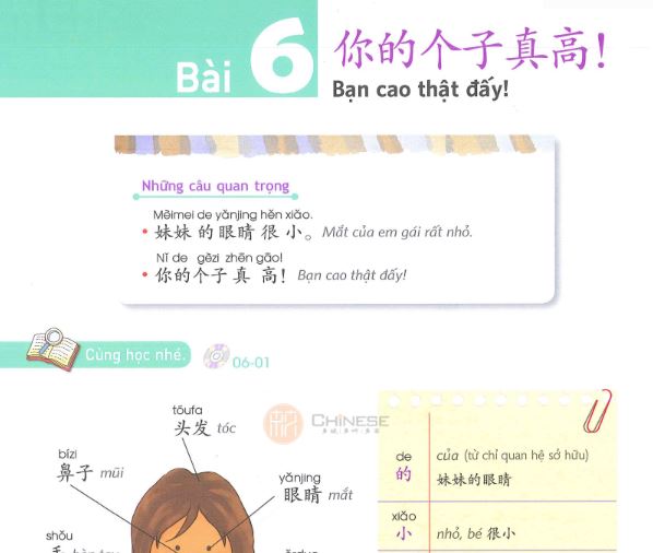 Bai-6-yct1