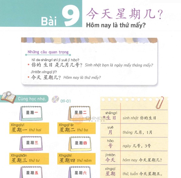Bai-9-yct-1