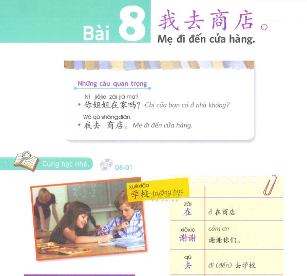 Bai8-yct-1