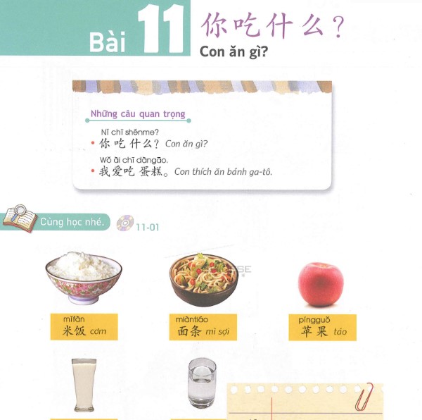bai-11-yct-1