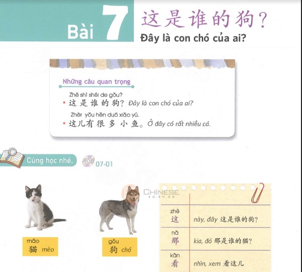 bai-7-yct-1