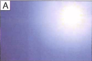 Screenshot 2025 09 18 171113